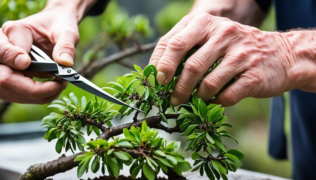 Cuidados Específicos del Bonsai de Ciruelo Chino