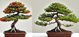 Bonsai de granado