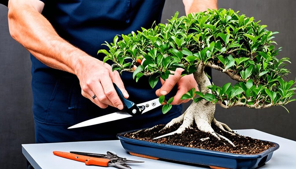 Cómo podar un bonsai ficus