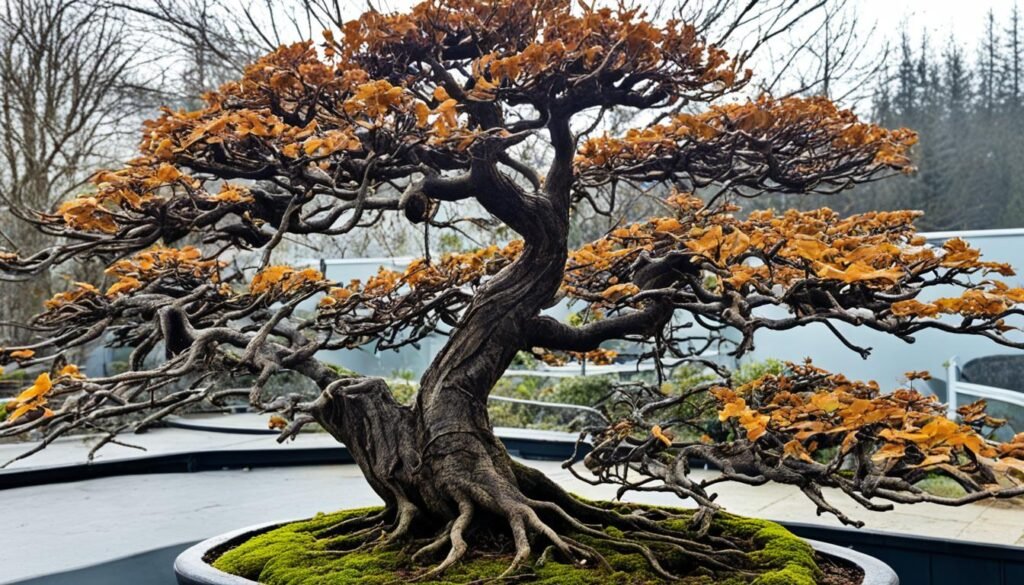 Señales de bonsai muerto