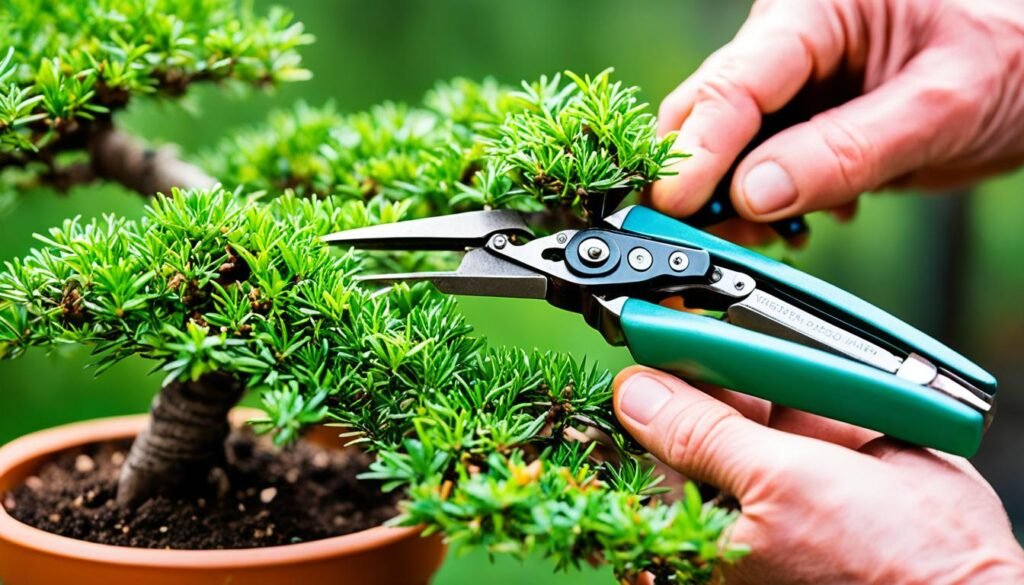 bonsai pruning