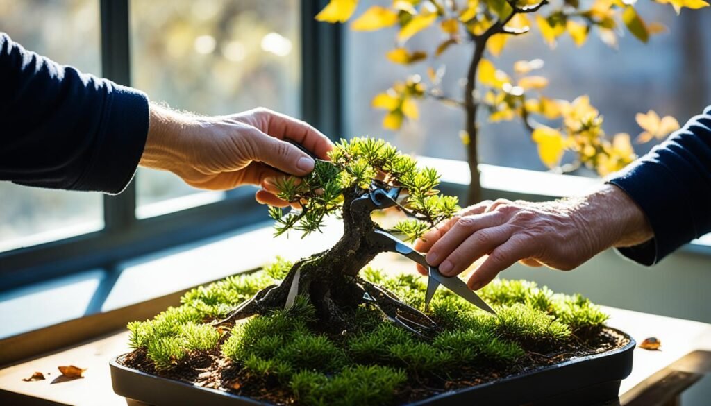 bonsai-pruning